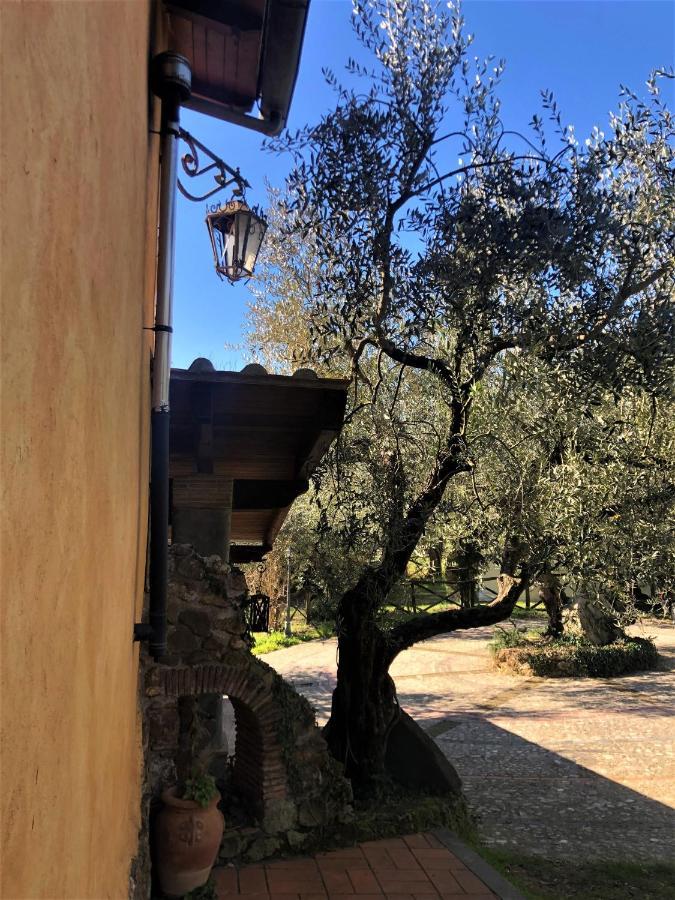 Casale L'Antica Mola Villa Castel Madama Eksteriør bilde