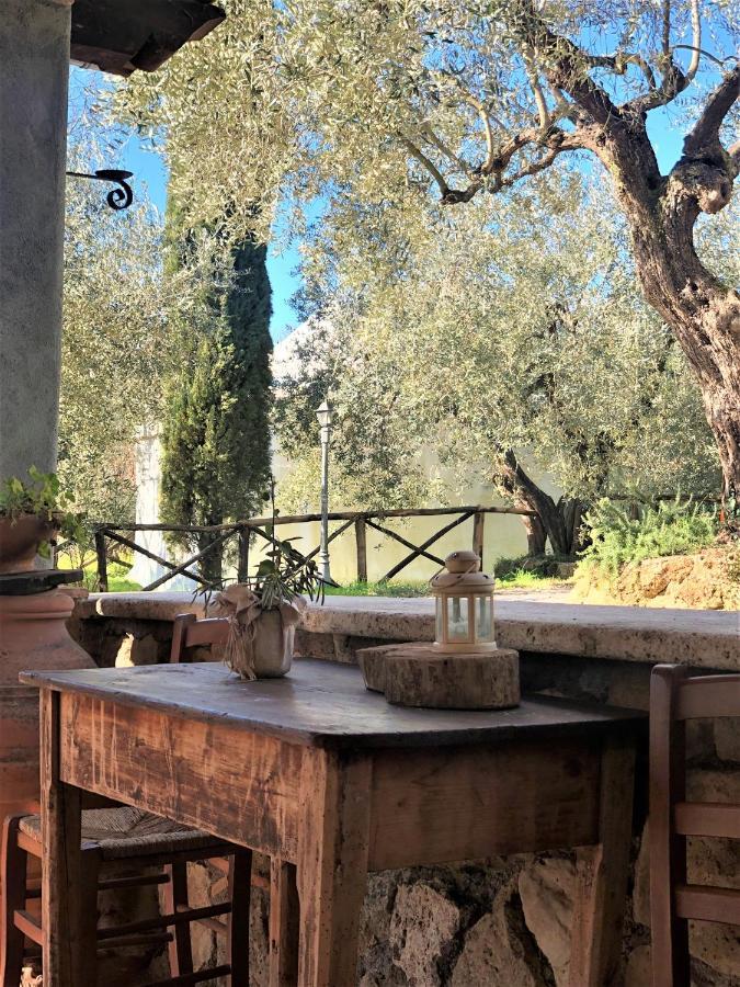 Casale L'Antica Mola Villa Castel Madama Eksteriør bilde