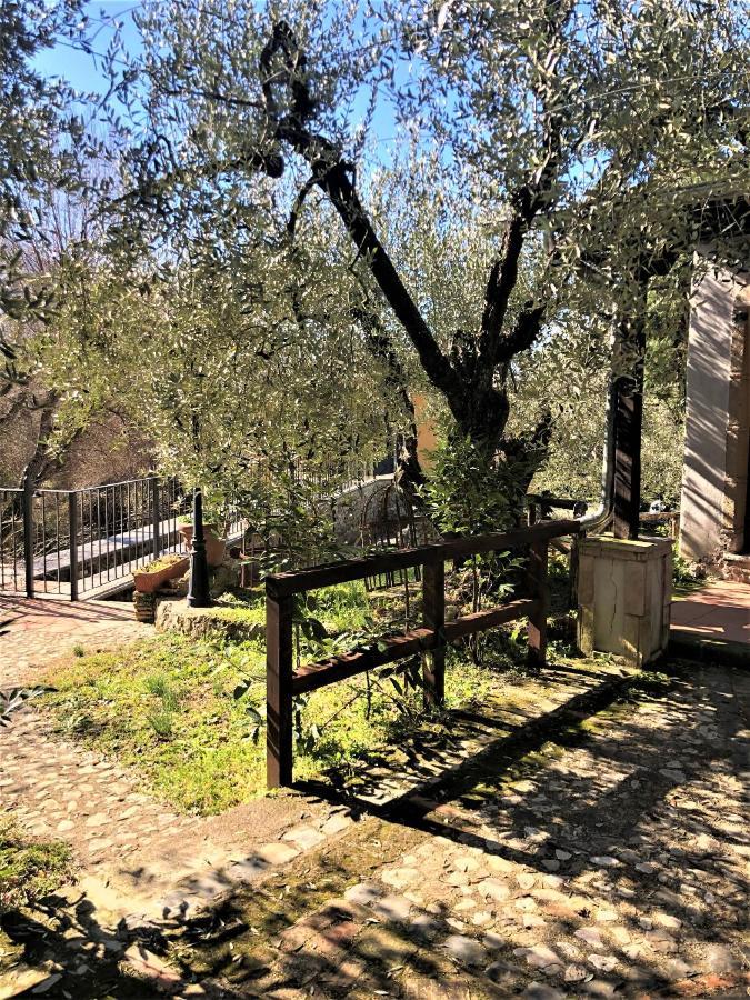 Casale L'Antica Mola Villa Castel Madama Eksteriør bilde
